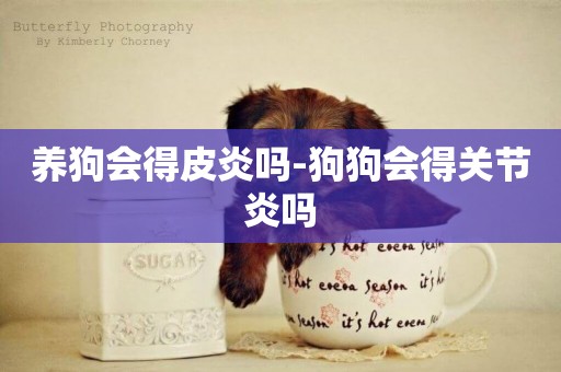 養狗會得皮炎嗎-狗狗會得關節炎嗎
