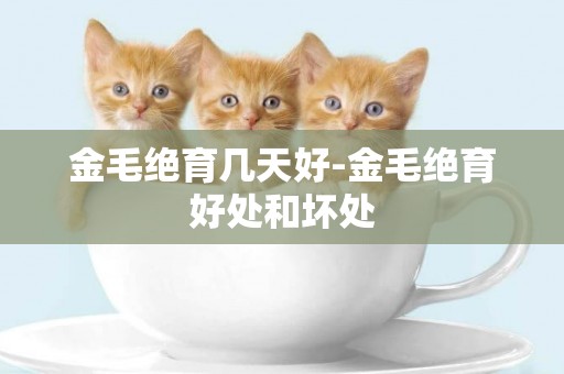 金毛絕育幾天好-金毛絕育好處和壞處