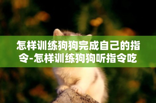 怎樣訓練狗狗完成自己的指令-怎樣訓練狗狗聽指令吃飯