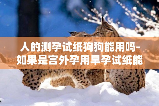人的測孕試紙狗狗能用嗎-如果是宮外孕用早孕試紙能測出陽性嗎