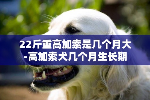 22斤重高加索是幾個月大-高加索犬幾個月生長期