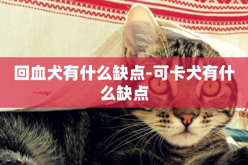 回血犬有什么缺點-可卡犬有什么缺點