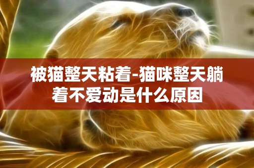 被貓整天粘著-貓咪整天躺著不愛動是什么原因