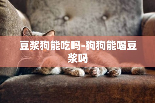豆漿狗能吃嗎-狗狗能喝豆漿嗎