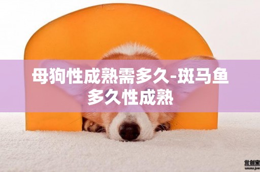 母狗性成熟需多久-斑馬魚多久性成熟