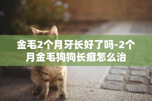 金毛2個月牙長好了嗎-2個月金毛狗狗長癬怎么治