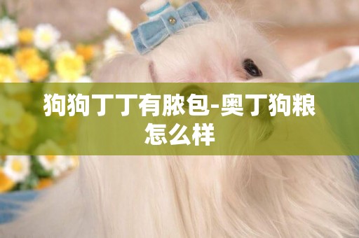 狗狗丁丁有膿包-奧丁狗糧怎么樣
