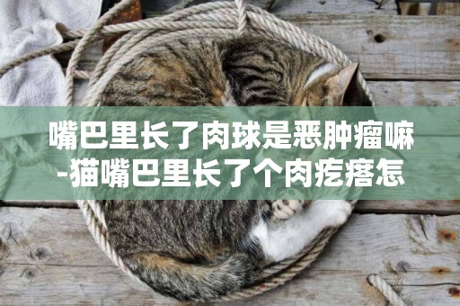 嘴巴里長了肉球是惡腫瘤嘛-貓嘴巴里長了個肉疙瘩怎么辦