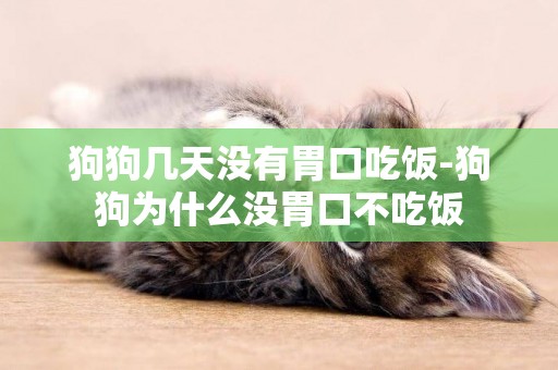狗狗幾天沒有胃口吃飯-狗狗為什么沒胃口不吃飯