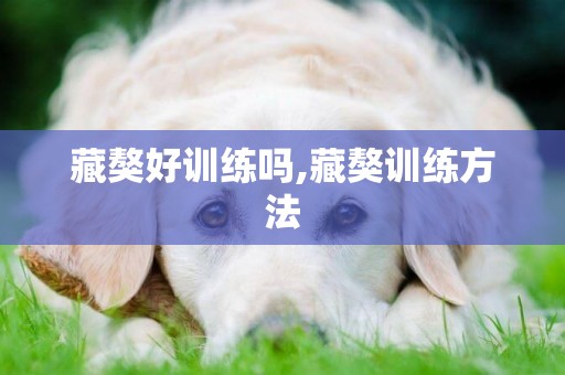 藏獒好訓練嗎,藏獒訓練方法