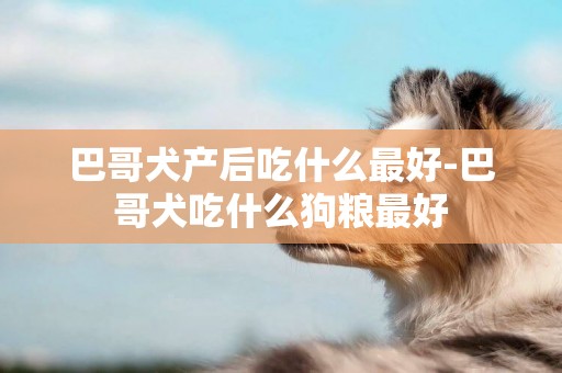 巴哥犬產后吃什么最好-巴哥犬吃什么狗糧最好