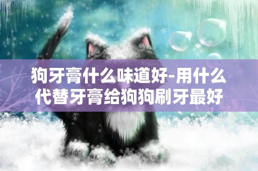 狗牙膏什么味道好-用什么代替牙膏給狗狗刷牙最好