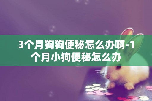 3個月狗狗便秘怎么辦啊-1個月小狗便秘怎么辦