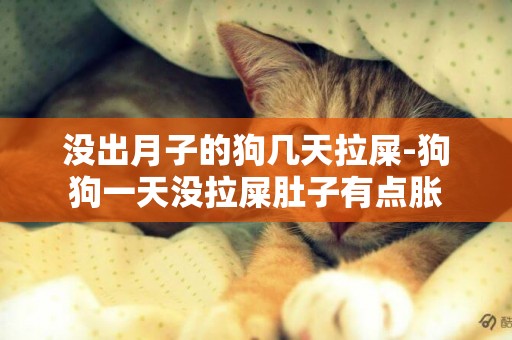 沒出月子的狗幾天拉屎-狗狗一天沒拉屎肚子有點脹