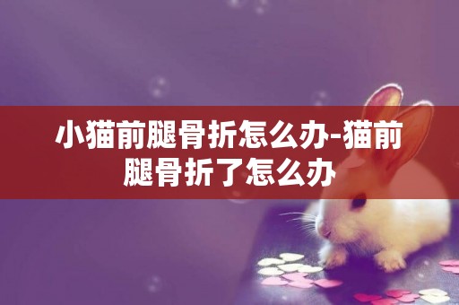 小貓前腿骨折怎么辦-貓前腿骨折了怎么辦