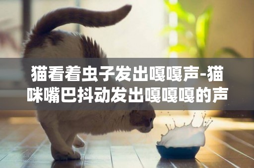 貓看著蟲子發出嘎嘎聲-貓咪嘴巴抖動發出嘎嘎嘎的聲音