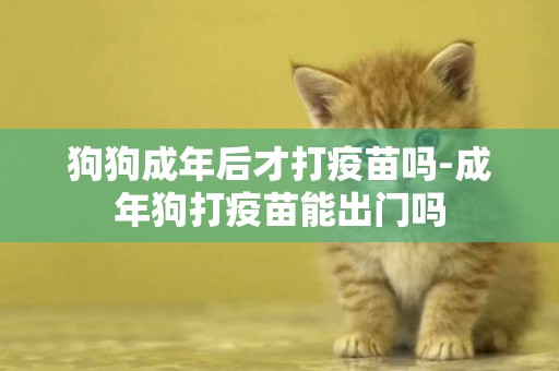 狗狗成年后才打疫苗嗎-成年狗打疫苗能出門嗎