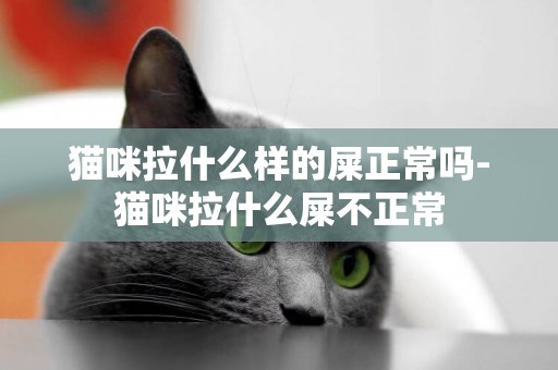 貓咪拉什么樣的屎正常嗎-貓咪拉什么屎不正常