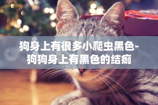 狗身上有很多小爬蟲黑色-狗狗身上有黑色的結痂