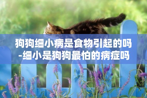 狗狗細小病是食物引起的嗎-細小是狗狗最怕的病癥嗎