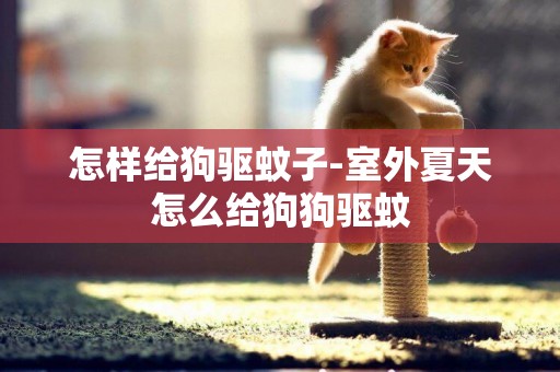 怎樣給狗驅蚊子-室外夏天怎么給狗狗驅蚊