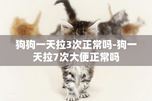 狗狗一天拉3次正常嗎-狗一天拉7次大便正常嗎
