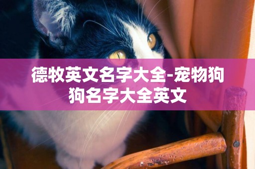 德牧英文名字大全-寵物狗狗名字大全英文