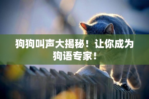 狗狗叫聲大揭秘！讓你成為狗語專家！