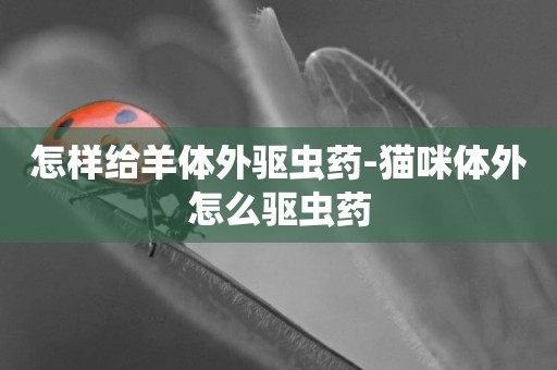 怎樣給羊體外驅蟲藥-貓咪體外怎么驅蟲藥