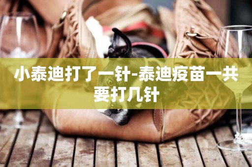 小泰迪打了一針-泰迪疫苗一共要打幾針