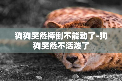 狗狗突然摔倒不能動了-狗狗突然不活潑了