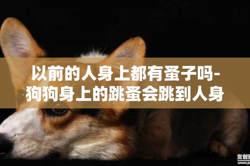 以前的人身上都有蚤子嗎-狗狗身上的跳蚤會跳到人身上嗎
