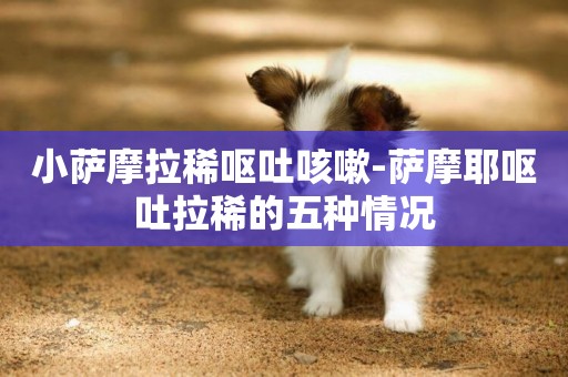 小薩摩拉稀嘔吐咳嗽-薩摩耶嘔吐拉稀的五種情況