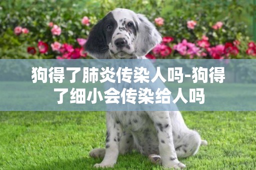 狗得了肺炎傳染人嗎-狗得了細小會傳染給人嗎