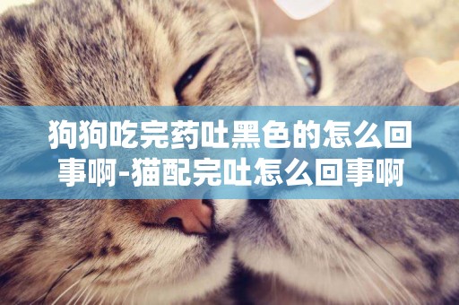 狗狗吃完藥吐黑色的怎么回事啊-貓配完吐怎么回事啊