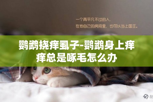 鸚鵡撓癢虱子-鸚鵡身上癢癢總是啄毛怎么辦