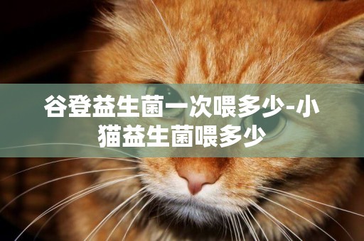 谷登益生菌一次喂多少-小貓益生菌喂多少