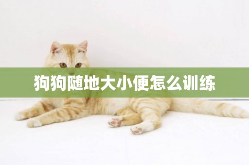 狗狗隨地大小便怎么訓練
