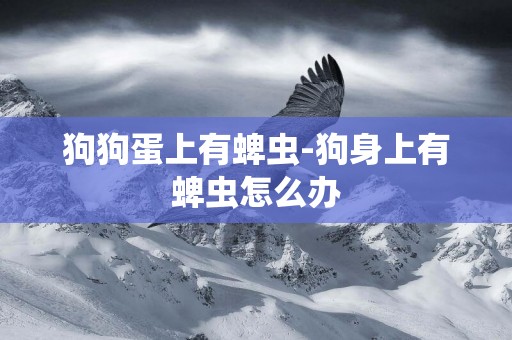 狗狗蛋上有蜱蟲-狗身上有蜱蟲怎么辦