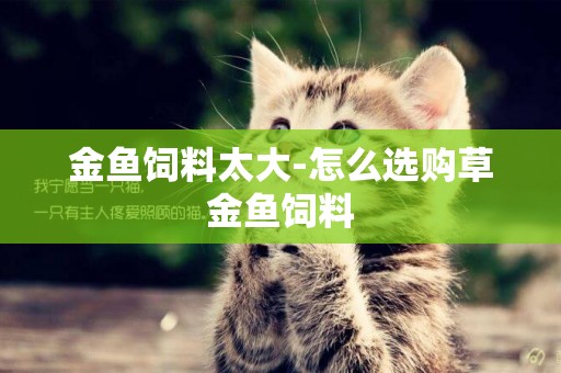 金魚飼料太大-怎么選購草金魚飼料