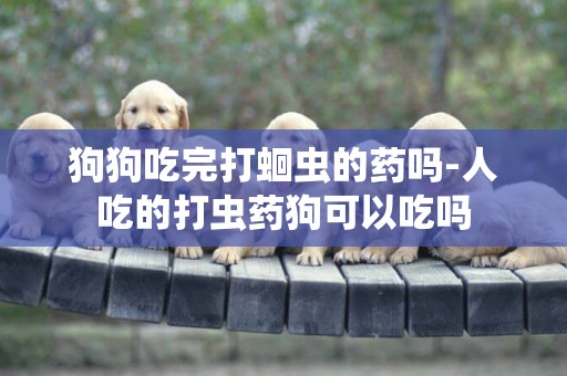 狗狗吃完打蛔蟲的藥嗎-人吃的打蟲藥狗可以吃嗎