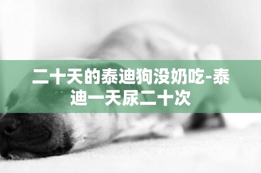 二十天的泰迪狗沒奶吃-泰迪一天尿二十次