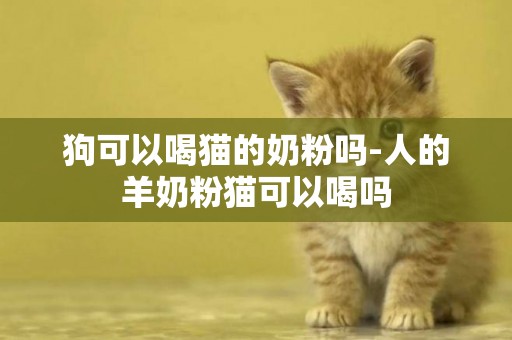 狗可以喝貓的奶粉嗎-人的羊奶粉貓可以喝嗎
