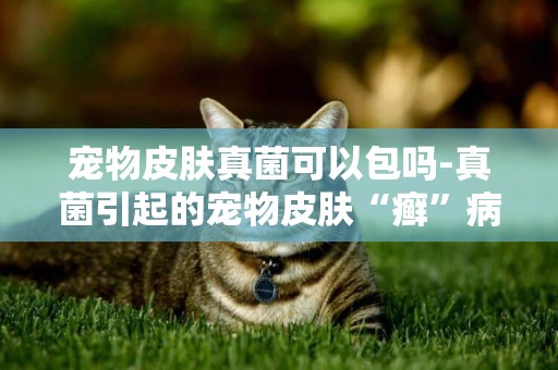 寵物皮膚真菌可以包嗎-真菌引起的寵物皮膚“癬”病