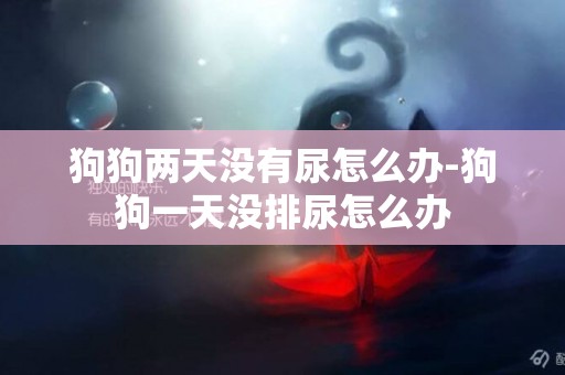 狗狗兩天沒有尿怎么辦-狗狗一天沒排尿怎么辦