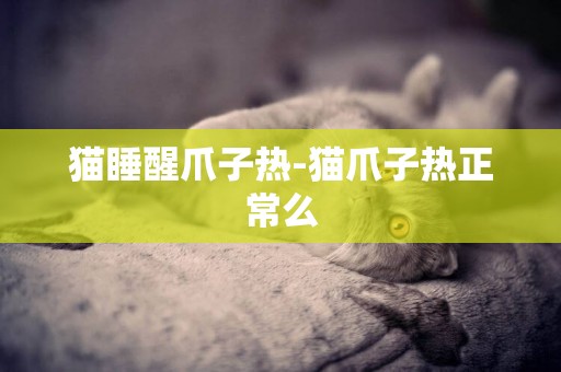 貓睡醒爪子熱-貓爪子熱正常么