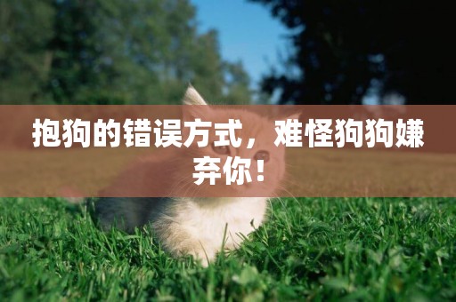 抱狗的錯誤方式，難怪狗狗嫌棄你！