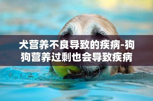 犬營養不良導致的疾病-狗狗營養過剩也會導致疾病