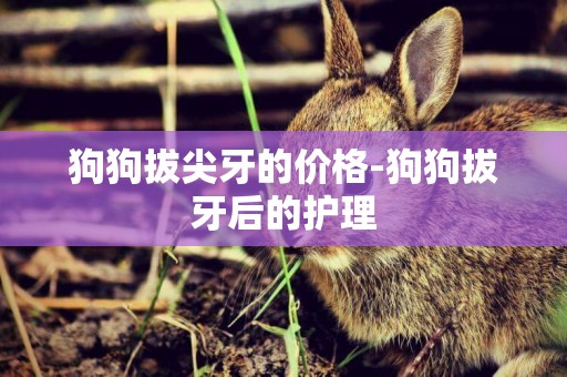 狗狗拔尖牙的價格-狗狗拔牙后的護理