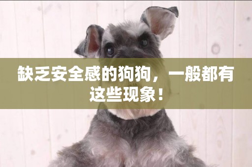 缺乏安全感的狗狗，一般都有這些現象！